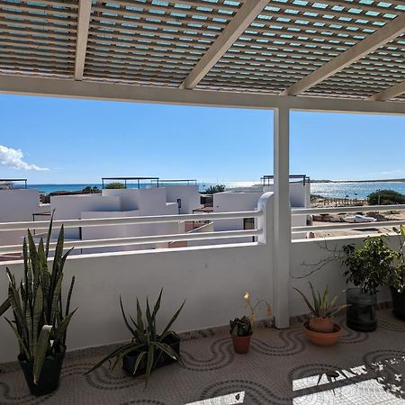 Appartamento Tropical Leaves Sea View Penthouse Ca Greta 2 Floor Sal Rei Esterno foto