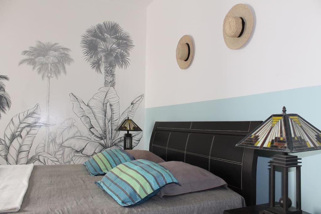 Appartamento Tropical Leaves Sea View Penthouse Ca Greta 2 Floor Sal Rei Esterno foto