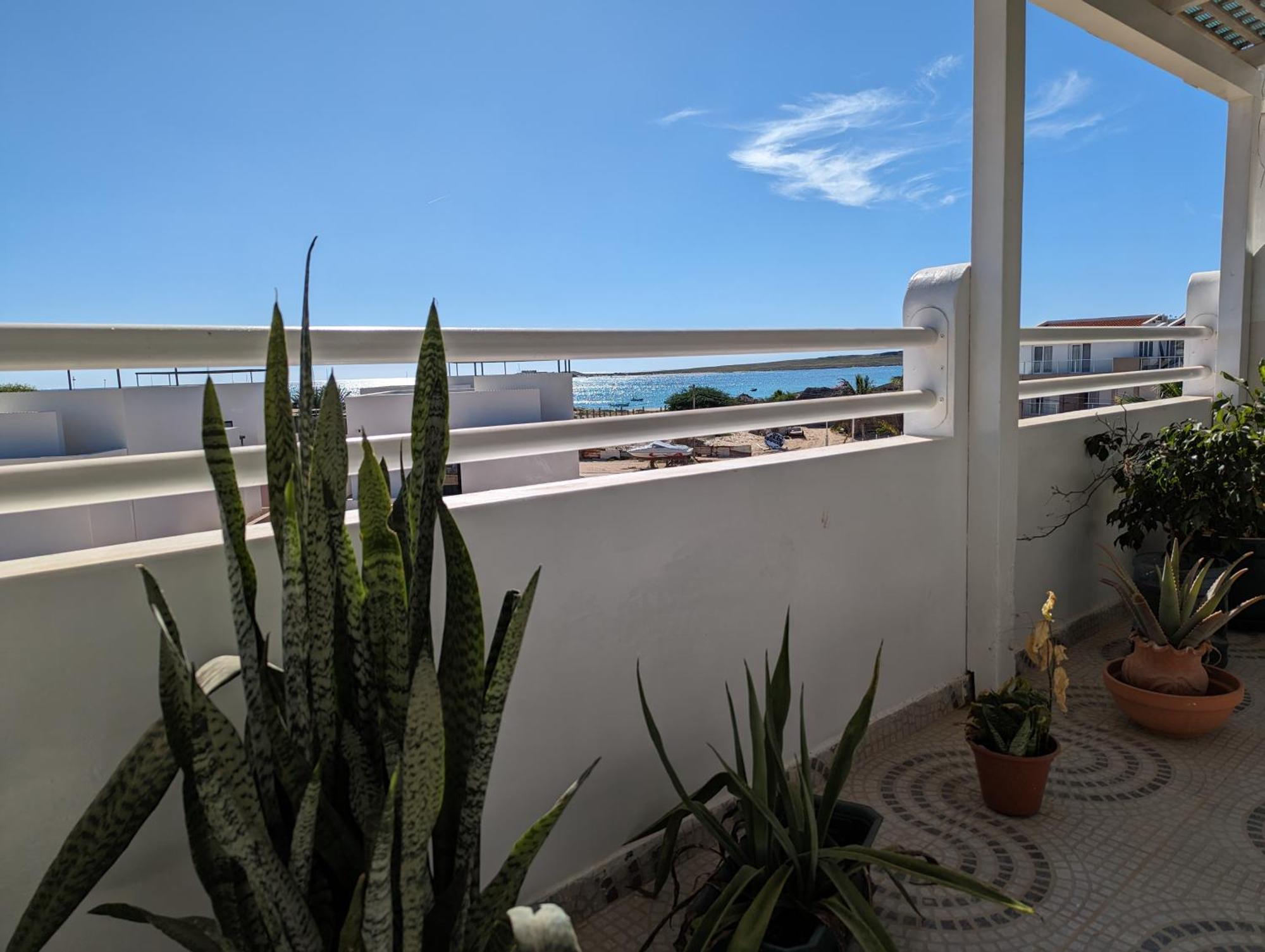 Appartamento Tropical Leaves Sea View Penthouse Ca Greta 2 Floor Sal Rei Esterno foto