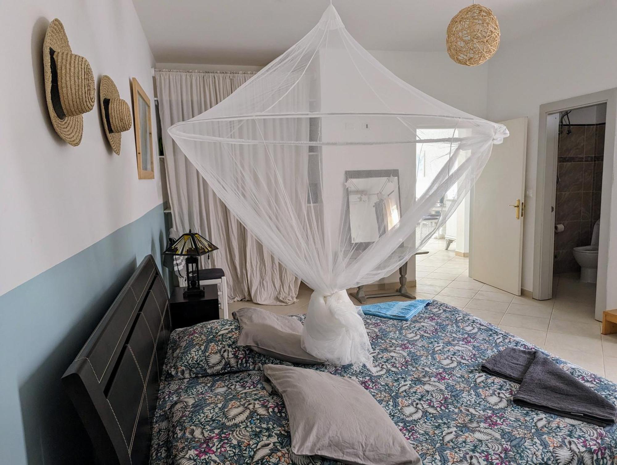 Appartamento Tropical Leaves Sea View Penthouse Ca Greta 2 Floor Sal Rei Esterno foto